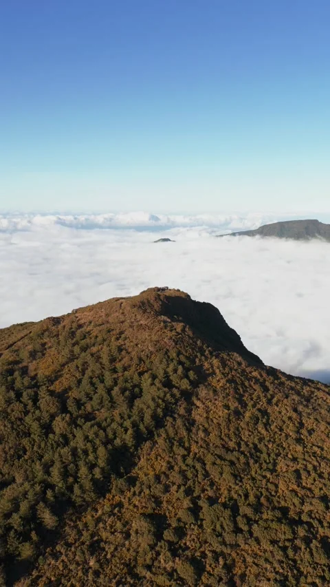 Mountain Peak Rising Above Cloud Sea in Madeira Stock Footage 333312926