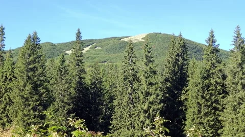 Mountain peak rising above dense pine forest under clear blue sky Vídeo Stock 344886962