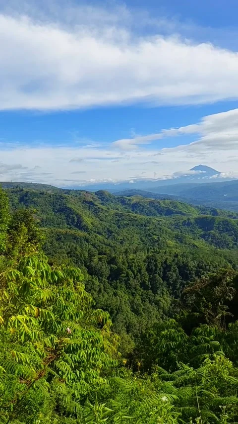 Mountain peak seen from afar Stock Footage 293409013