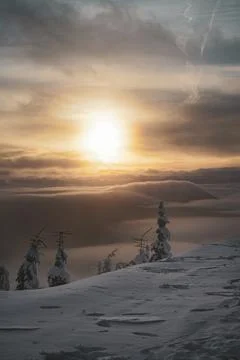 Mountain Peak Sunset With Inversion Low Clouds and Frozen Trees Stock Photos