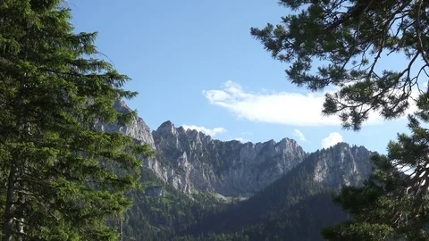 Mountain Peak View from the Alpen Forest. 4K Stock Footage 81214653