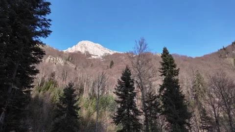 A mountain peak visible above the trees in forest. Stock Footage 317633200
