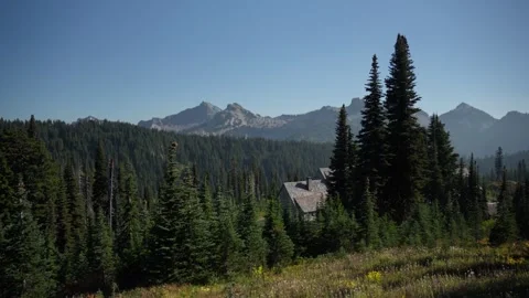 Mountain Peaks above Forest under Clear Blue Sky Vidéo 320027372