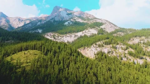 Mountain peaks and forest Stock Footage 305273024