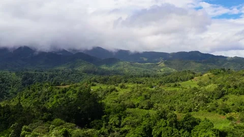 Mountain peaks are covered with rainforest and clouds. Stock Footage 130953908