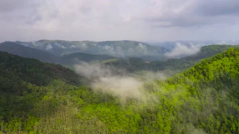 Mountain peaks covered with forest from above. Sri Lanka. Stock Footage 233425832