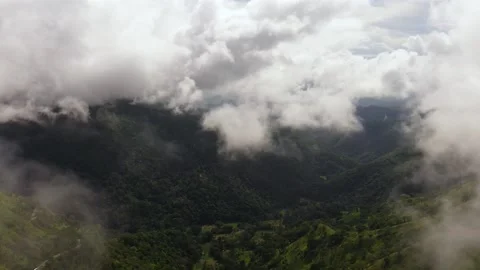 Mountain peaks covered with forest from above. Stock Footage 233553432