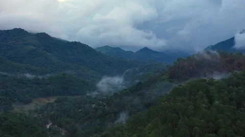 Mountain peaks covered with forest from above. Stock Footage 233553483