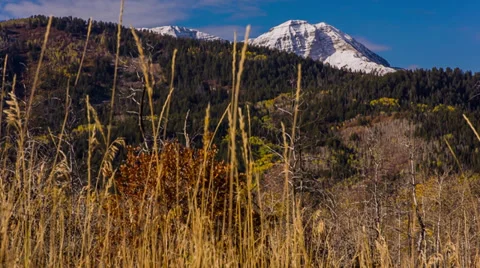 Mountain peaks of fall colors moving up multiple levels Stock Footage 32056939