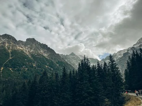 Mountain Peaks with Pine Forest Below Stock Photos