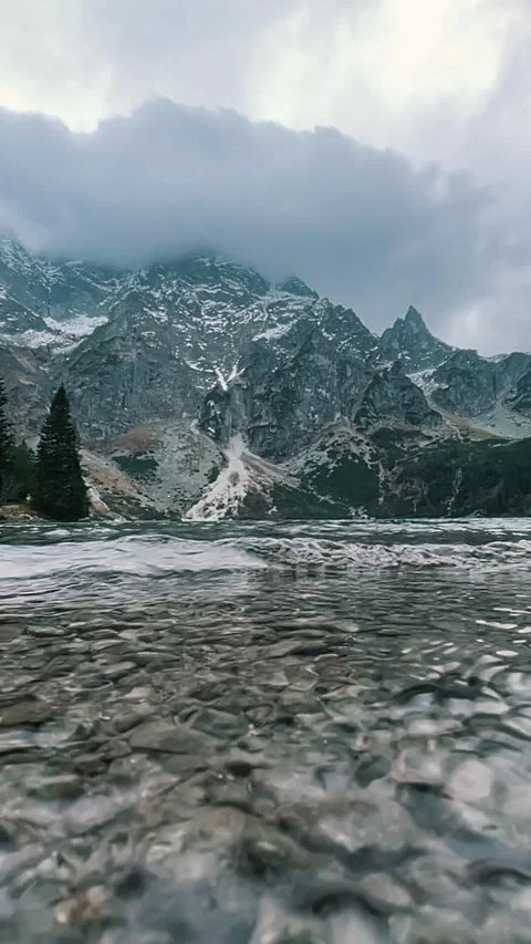 Mountain Peaks with Pine Forest Vertical View 動画素材 344042437