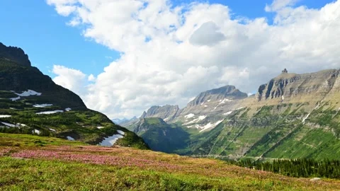 Mountain Peaks Rolling Clouds Purple Flowers in the Foreground - 4K Time Lapse 스톡 동영상 221460111