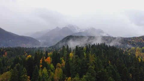 Mountain peaks snow capped beyond the forest Stock Footage 229687584