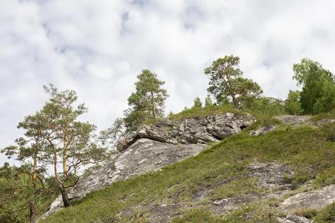 Mountain peaks with trees on white clouds sky background. Stock Photos