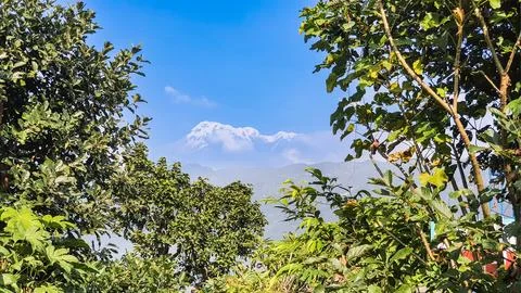 Mountain peaks in the window between the branches. Photos