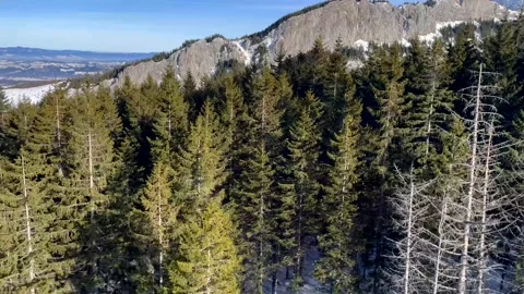 Mountain peals and forest trees in the aerial sliding shot Stock Footage 194419622