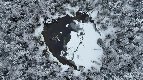 Mountain peat bog winter ice upland lake Jeseniky pool wetland swamp 스톡 동영상 332123083
