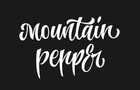 Mountain pepper - white colored hand drawn spice label. Stock Illustration