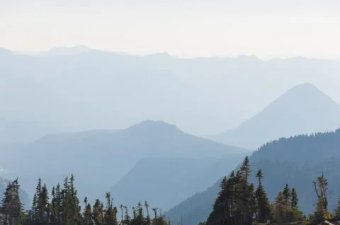 Mountain perspective and trees Stock Photos
