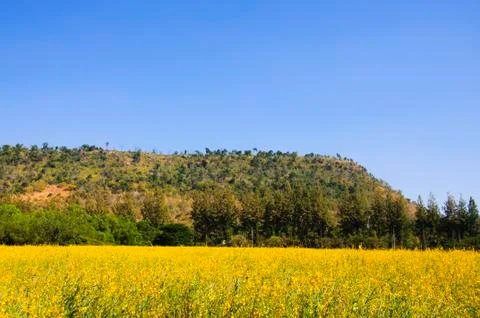 Mountain Stock Photos