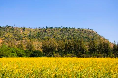 Mountain Stock Photos