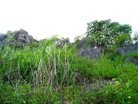 Mountain Stock Photos