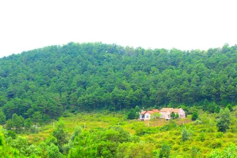 Mountain Stock Photos