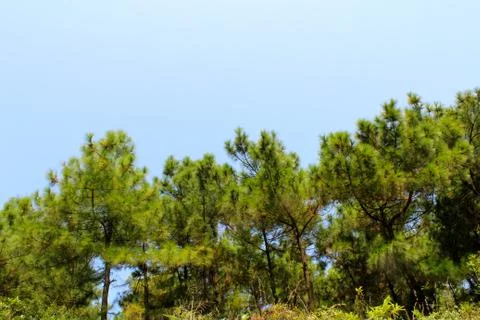 Mountain Stock Photos