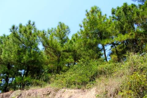 Mountain Stock Photos