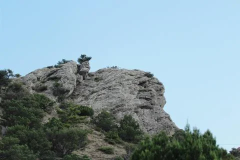 Mountain Stock Photos