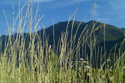 Mountain Stock Photos