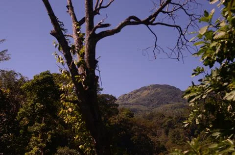 Mountain Stock Photos