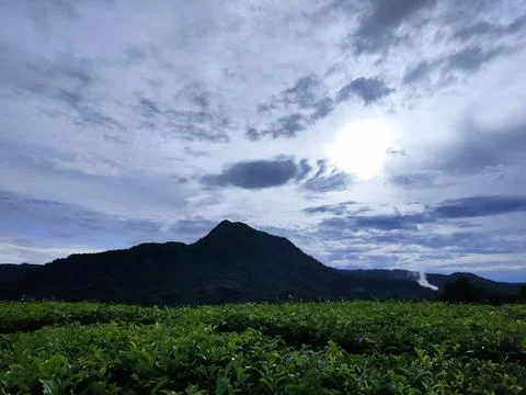 The mountain Stock Photos