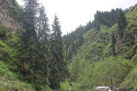 Mountain Stock Photos