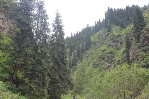 Mountain Stock Photos