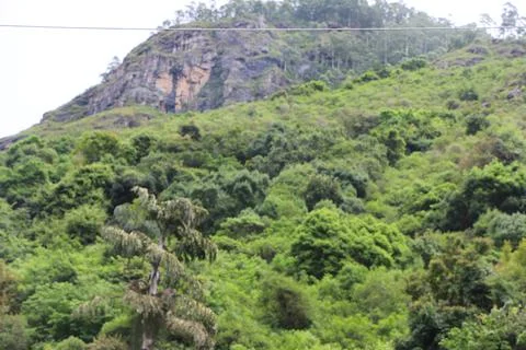 Mountain Foto stock