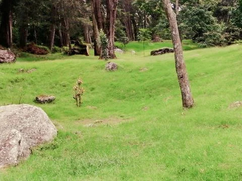 Mountain Stock Photos