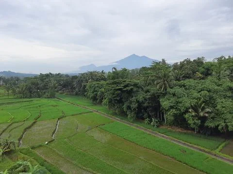 Mountain Stock Photos