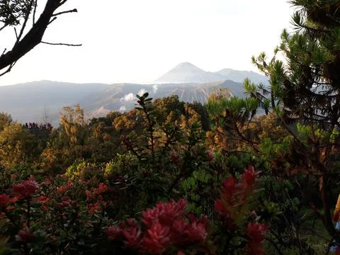 Mountain Stock Photos
