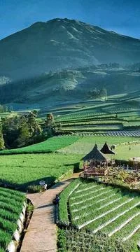 Mountain 스톡 사진