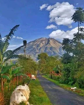 Mountain 스톡 사진