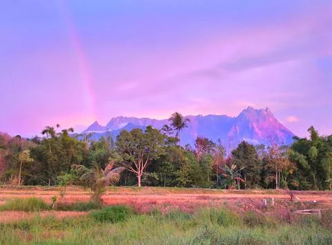 Mountain Stock Photos