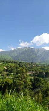 Mountain 스톡 사진