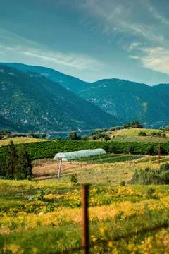 Mountain Stock Photos