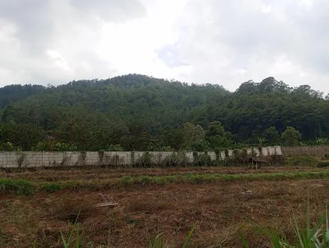 Mountain Stock Photos