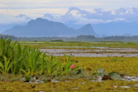 Mountain Stock Photos