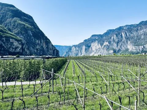 Mountain Stock Photos