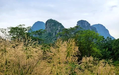 Mountain Stock Photos