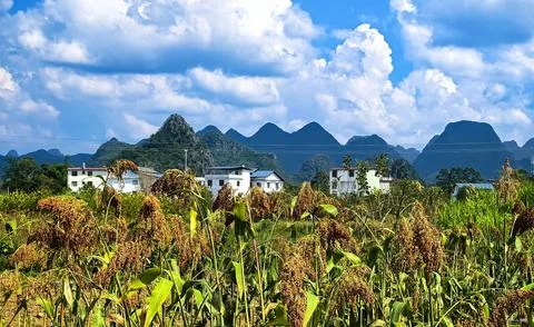 Mountain Stock Photos