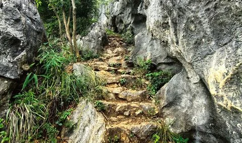 Mountain Stock Photos